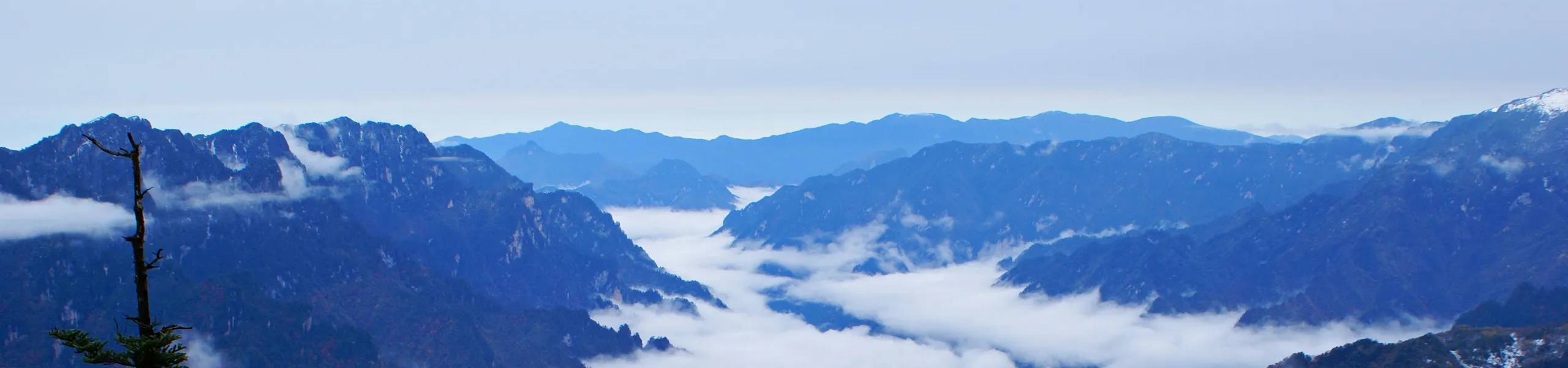 Yangzi Explorer 4 Night Cruise from Yichang to Chongqing via Shennongjia