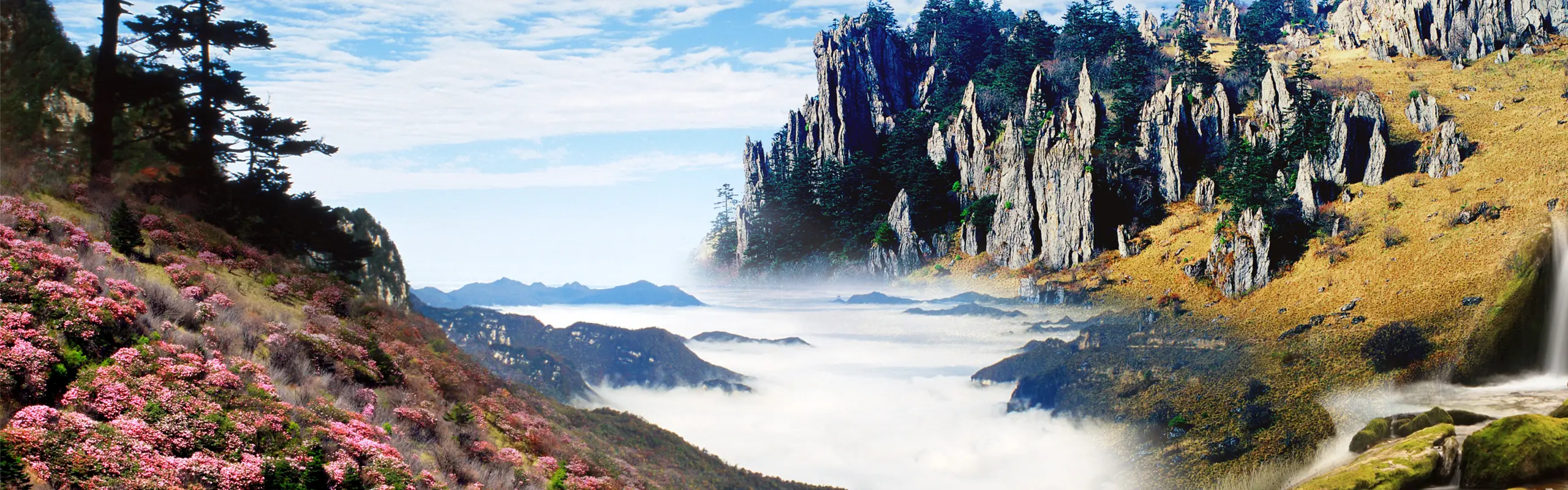 Yichang to Chongqing via Shennongjia Itinerary